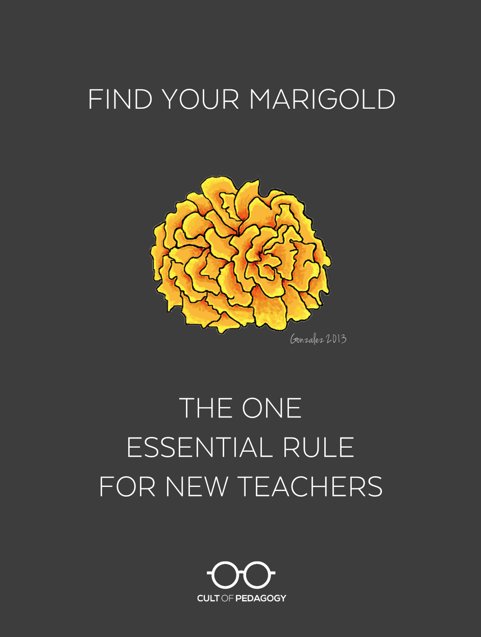 Find Your Marigold. The one essential rule for new teachers. Cult of Pedagogy.