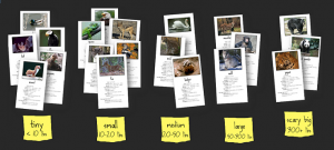 inductive learning strategy