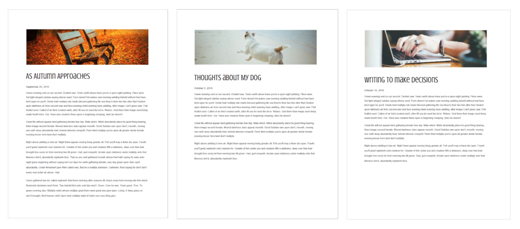 Blog