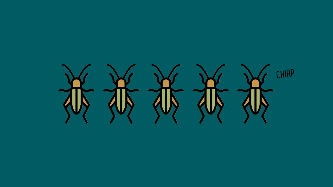 When You Get Nothing But Crickets | Cult of Pedagogy