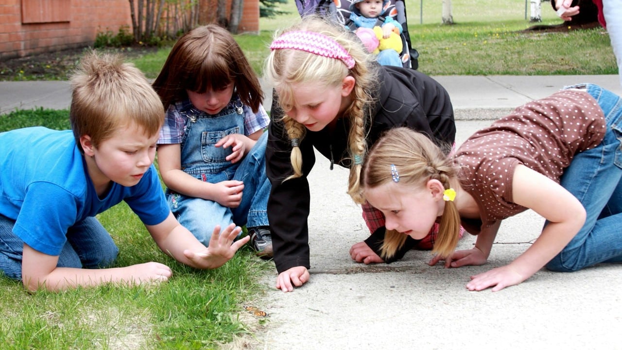 What Makes School in Denmark Better (and What We Can Learn from Them) | Cult of Pedagogy